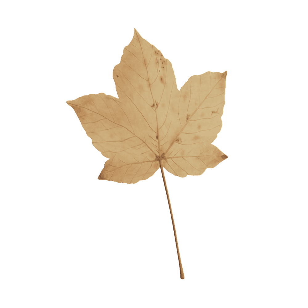 Leaf decoration