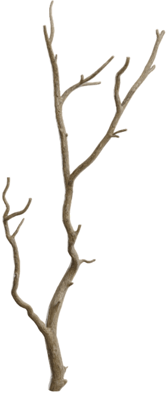Branch decoration